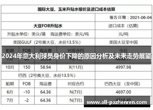 2024年意大利球员身价下降的原因分析及未来走势展望