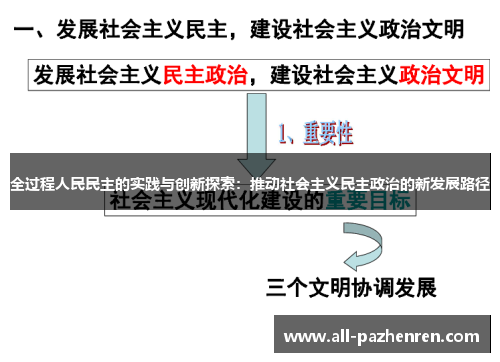 全过程人民民主的实践与创新探索:推动社会主义民主政治的新发展路径 全过程人民民主的实践与创新探索:推动社会主义民主政治的新发展路径