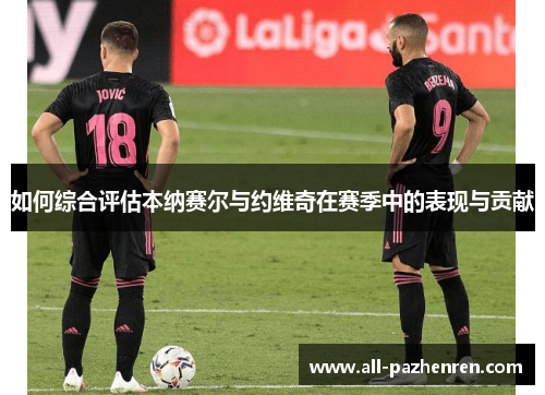 如何综合评估本纳赛尔与约维奇在赛季中的表现与贡献 如何综合评估本纳赛尔与约维奇在赛季中的表现与贡献