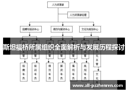 斯坦福桥所属组织全面解析与发展历程探讨
