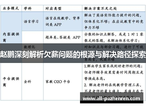 赵鹏深刻解析欠薪问题的根源与解决路径探索