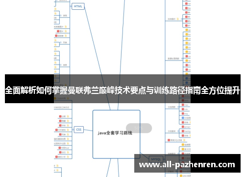 全面解析如何掌握曼联弗兰巅峰技术要点与训练路径指南全方位提升 全面解析如何掌握曼联弗兰巅峰技术要点与训练路径指南全方位提升