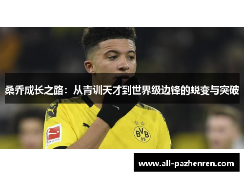 桑乔成长之路:从青训天才到世界级边锋的蜕变与突破 桑乔成长之路:从青训天才到世界级边锋的蜕变与突破