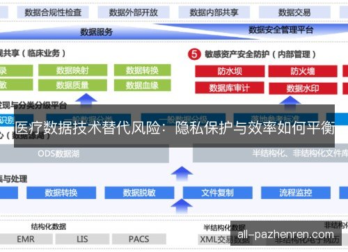 医疗数据技术替代风险：隐私保护与效率如何平衡